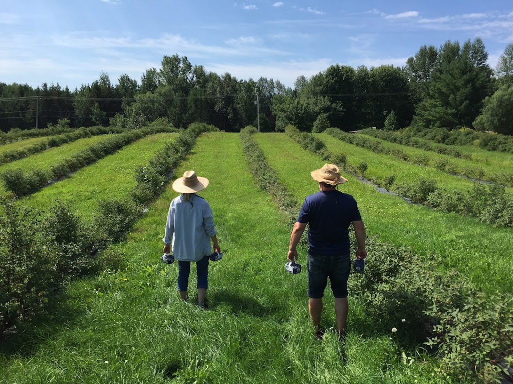 Ferme Des Camerises | 5011 Chemin St Louis, Alma, QC G8E 1A6, Canada | Phone: (418) 487-4883