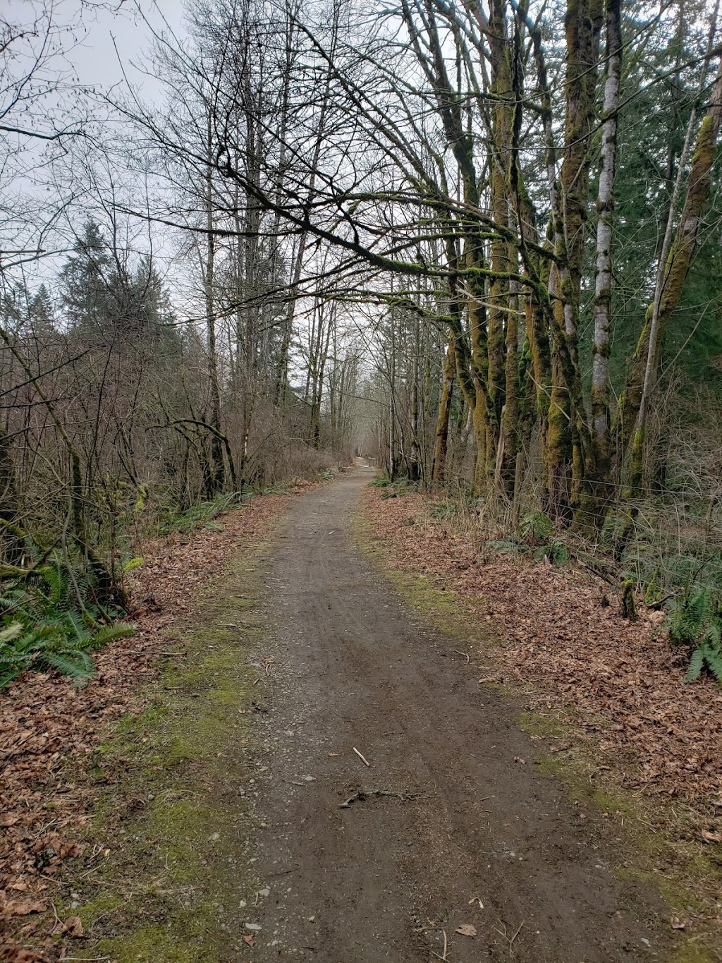 One Spot Trail | 3388 Cessford Rd, Courtenay, BC V9J 1R6, Canada | Phone: (250) 334-6000