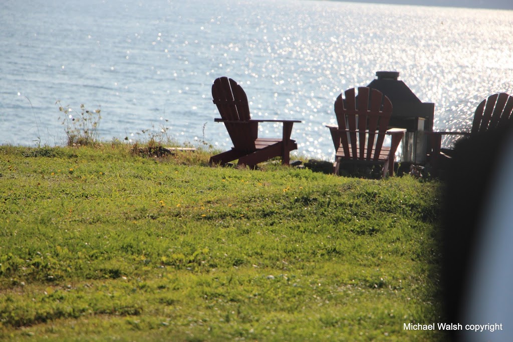 Blue Hog Gallery | 1241 Blue Rocks Rd, Lunenburg, NS B0J 2C0, Canada | Phone: (902) 640-2263