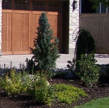 Blackforest Contractor Inc | 4554 Anderson Rd, Carlsbad Springs, ON K0A 1K0, Canada | Phone: (613) 822-6594