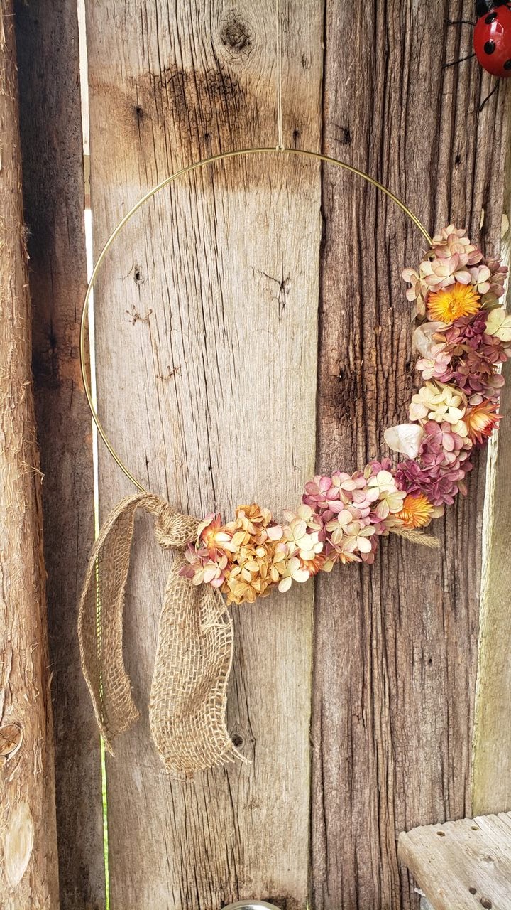 Dragonfly Blossoms | 549 County Rd 42, Havelock, ON K0L 1Z0, Canada | Phone: (705) 933-4334