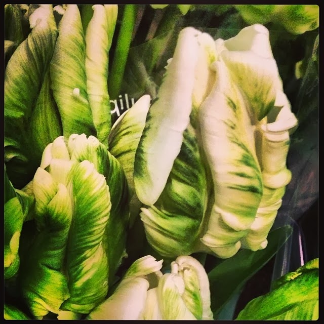 Bloominghill Flowers | 1724 Avenue Rd, North York, ON M5M 3Y6, Canada | Phone: (416) 781-7135