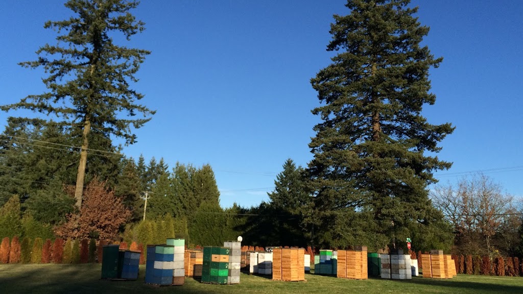 MMY Honeybee Inc | 5553 256 St, Aldergrove, BC V4W 1E7, Canada | Phone: (778) 829-9349