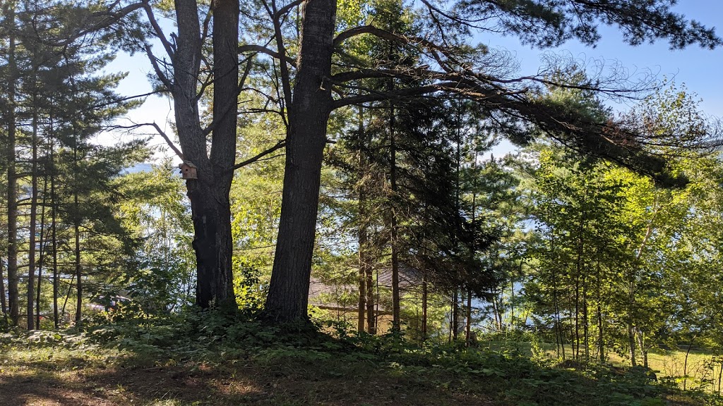 Chalets Bon Repos | 17 Chemin Adrien, Lac-du-Cerf, QC J0W 1S1, Canada | Phone: (819) 597-2303