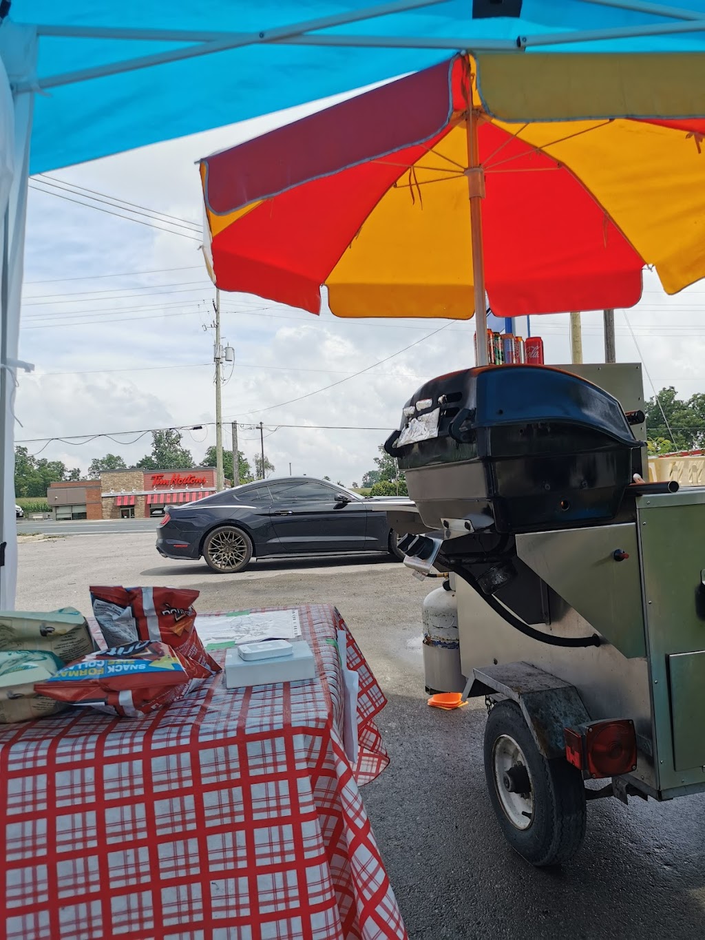 C Taylor Dog | 181 Brant Rd, Saint George, ON N0E 1N0, Canada | Phone: (416) 705-3130