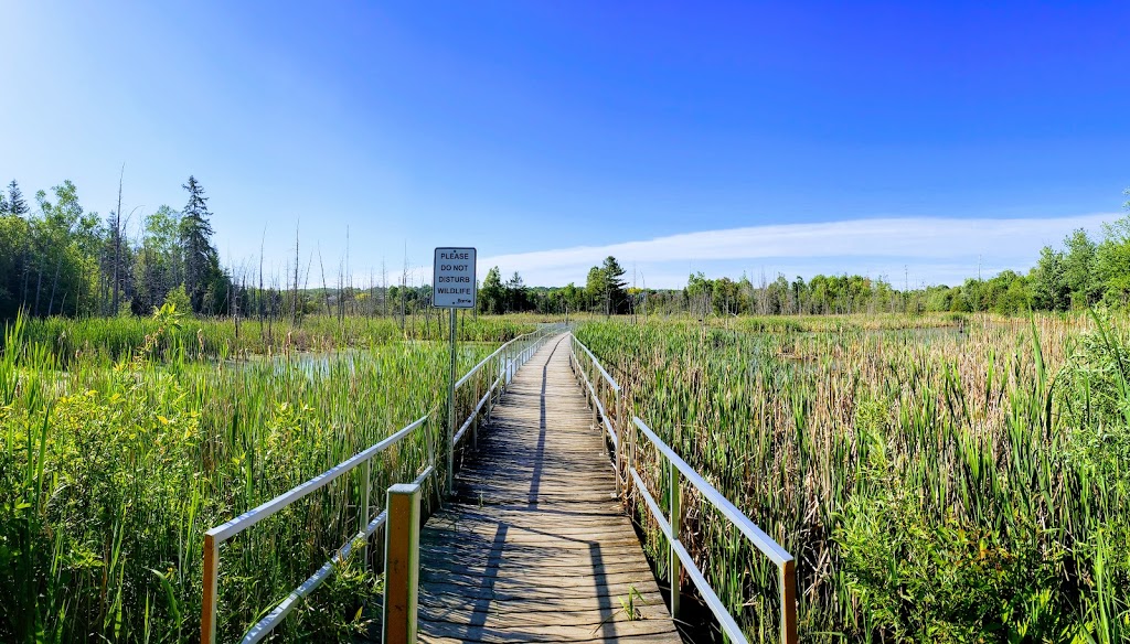 Bear Creek Eco Park | park | Barrie, ON L4N 6Y6, Canada