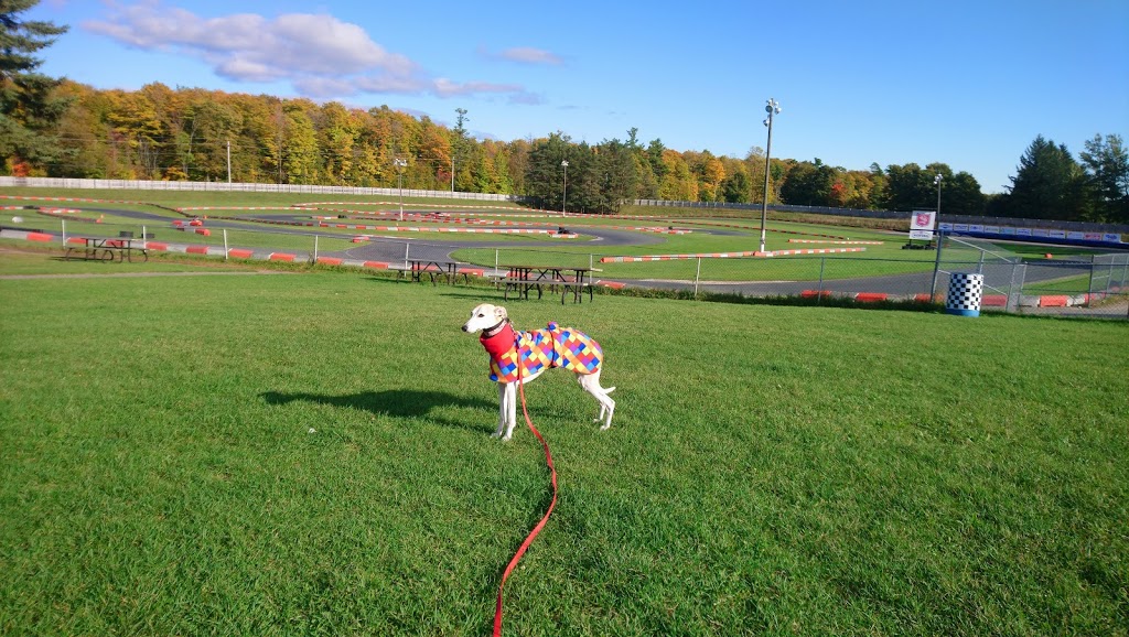 Goodwood Kartways | 5200 Concession 2 Road, Whitchurch-Stouffville, ON L4A 7X4, Canada | Phone: (905) 640-5278