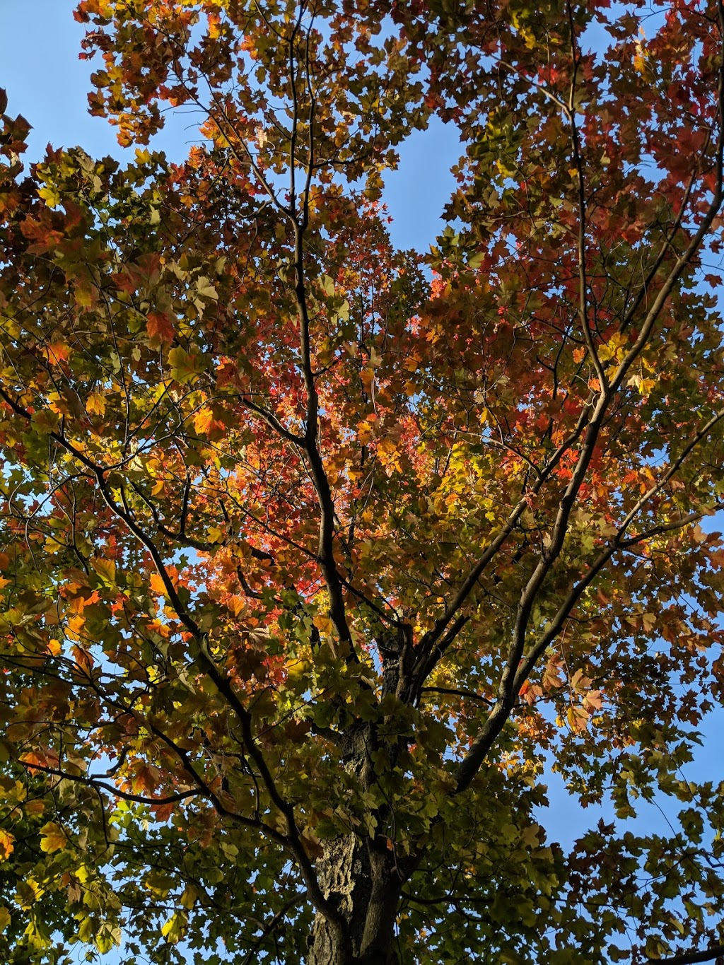 Tudhope Park | Orillia, ON, Canada