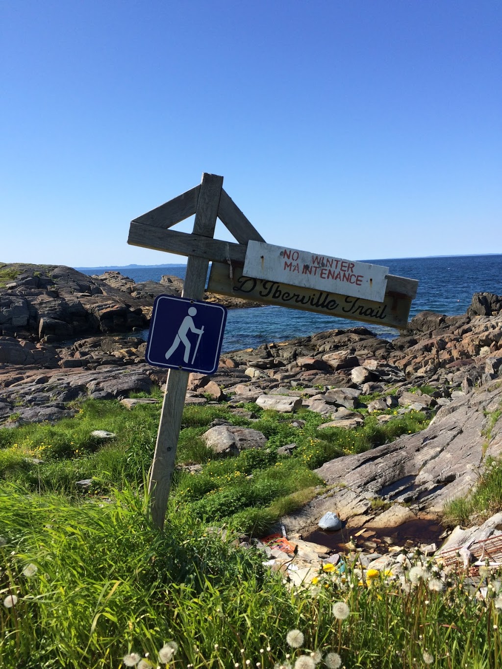 Hardy Villa | 133 Hants Harbour Rd, Hants Harbour, NL A0B 1Y0, Canada | Phone: (709) 699-9030