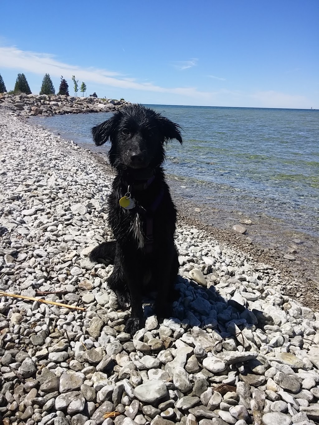 Turtle Rock | Georgian Bay, ON L9Y, Canada