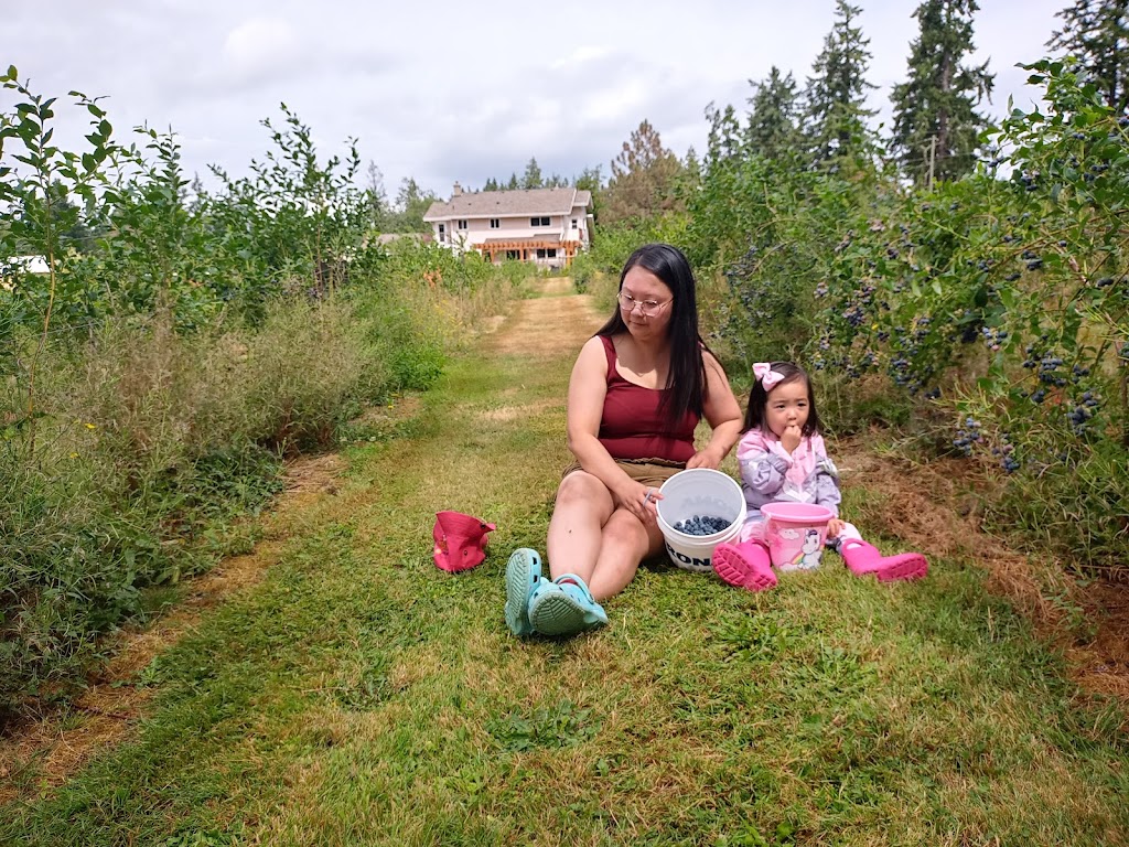 Silverside Farm | 3810 Cobble Hill Rd, Cobble Hill, BC V0R 1L5, Canada | Phone: (250) 743-9149