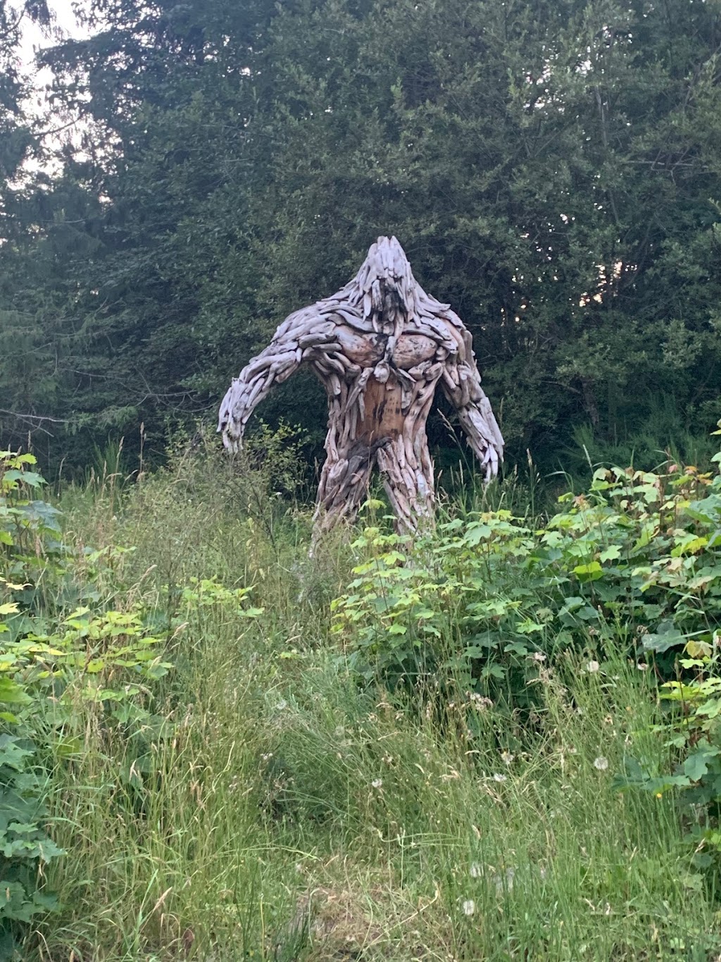 Bigfoot The Guardian | 4289 Barnjum Rd, Sahtlam, BC V9L 6G5, Canada | Phone: (250) 202-5520