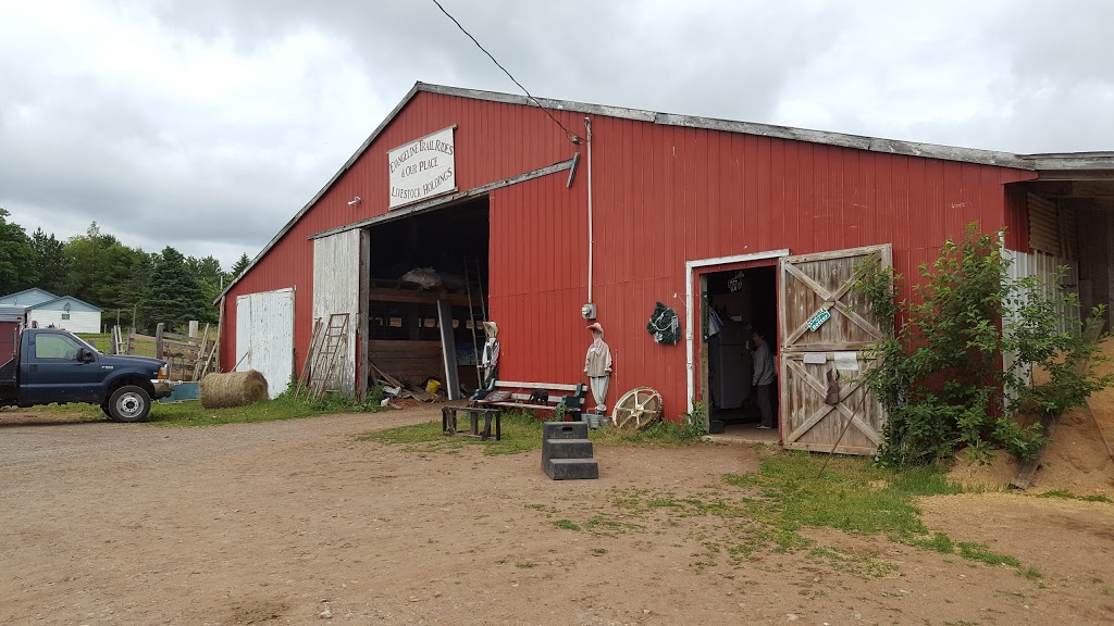 Evangeline Trail Rides | 2147 N River Rd, Scotch Village, NS B0N 2G0, Canada | Phone: (902) 632-2637