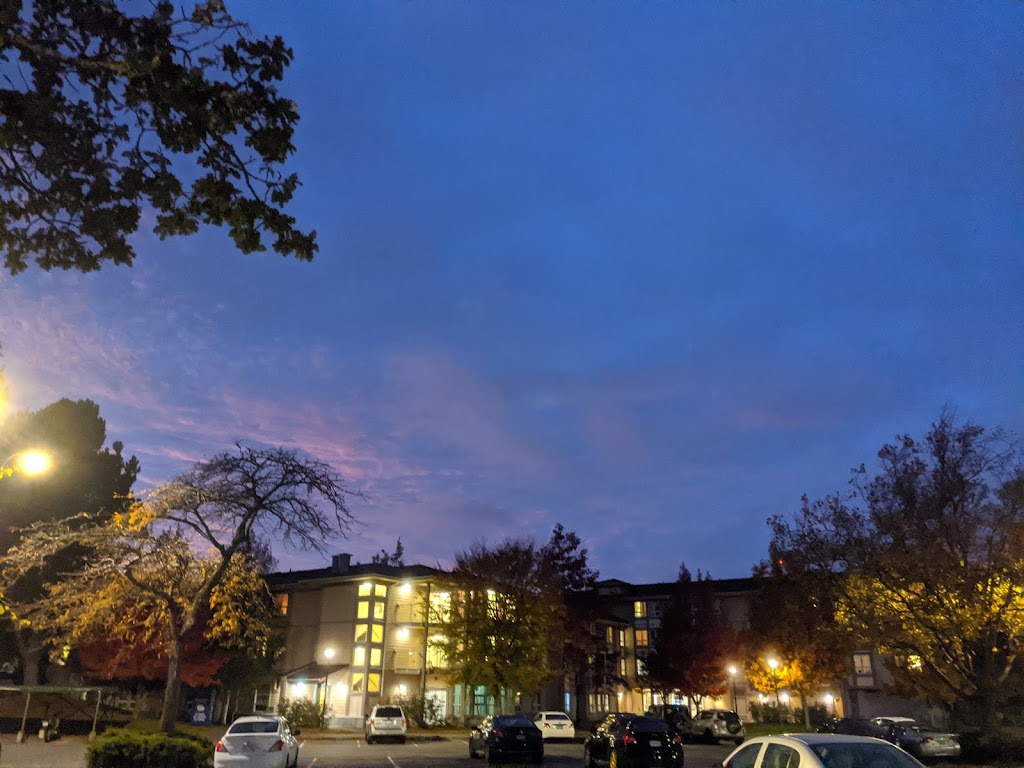 UVic Parking Lot 1 | Alumni Chip Trail, Saanich, BC V8P 3E6, Canada | Phone: (250) 721-7599