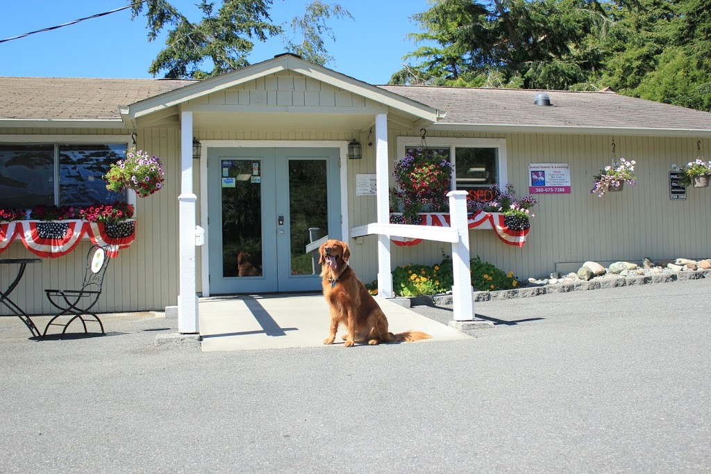 Sunset Kennel & Grooming | 1614 Swantown Rd, Oak Harbor, WA 98277, USA | Phone: (360) 675-7288