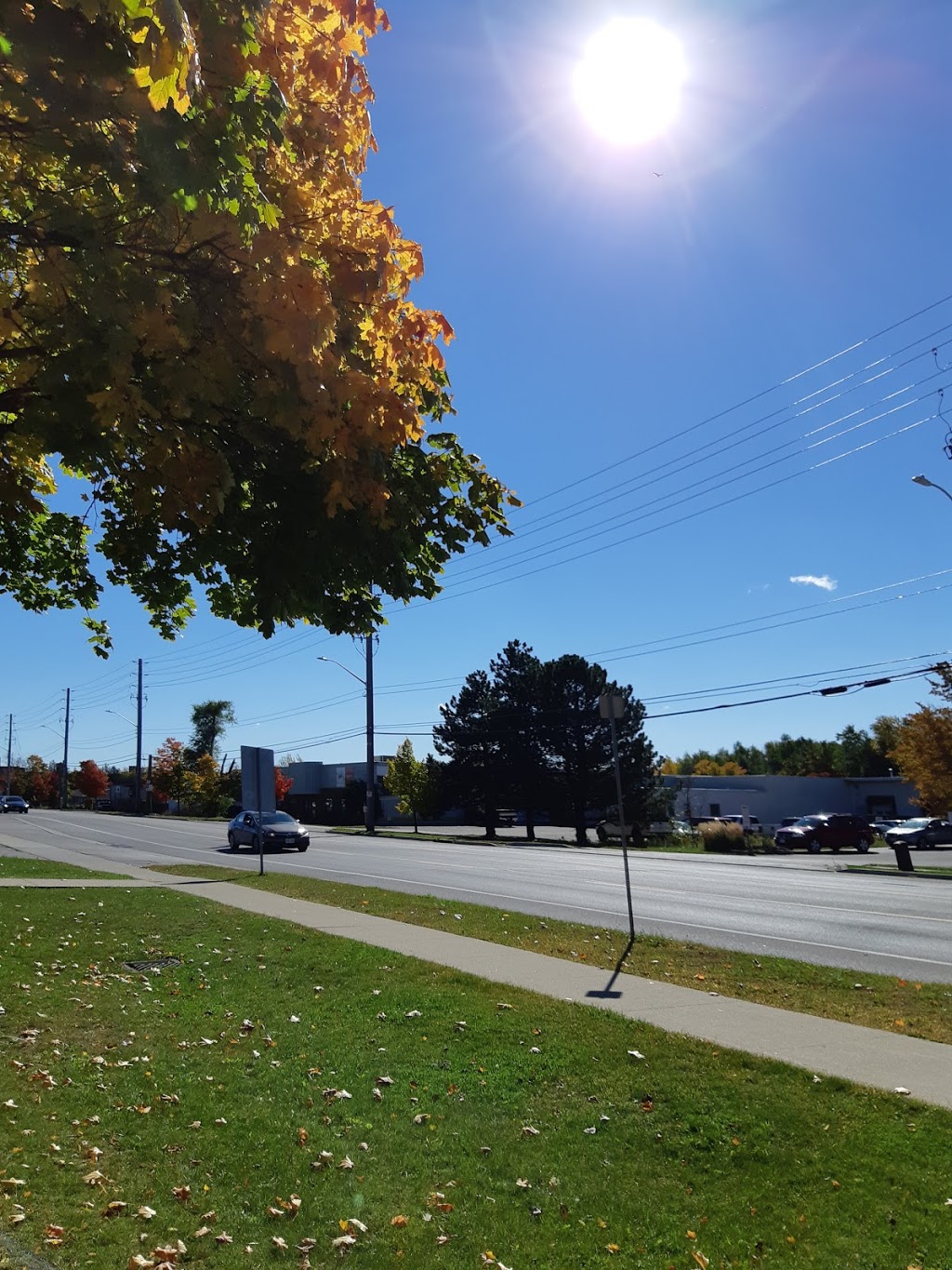 Wellington Ortho & Rehab Associates | 86 Dawson Rd #3, Guelph, ON N1H 1A8, Canada | Phone: (519) 837-2020