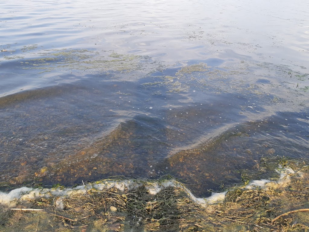 Buck Lake Campground | 406 Lakeshore Dr, Buck Lake, AB T0C 0T0, Canada | Phone: (780) 352-3321