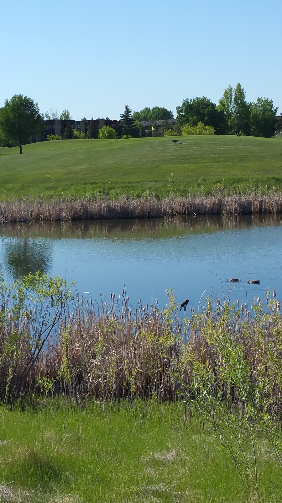 Lakewood Park, Saskatoon, Saskatchewan | 1535 McKercher Dr, Saskatoon, SK S7H 5L3, Canada
