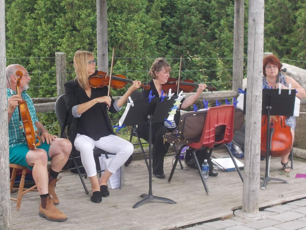 Medley Musician Service | 38 Ellen St #2, Barrie, ON L4N 3A3, Canada | Phone: (705) 500-1717