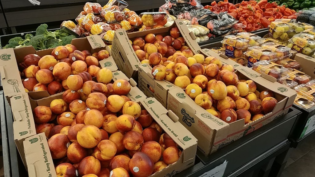 FreshCo | 3100 Dixie Rd, Mississauga, ON L4Y 2A6, Canada | Phone: (905) 279-8840