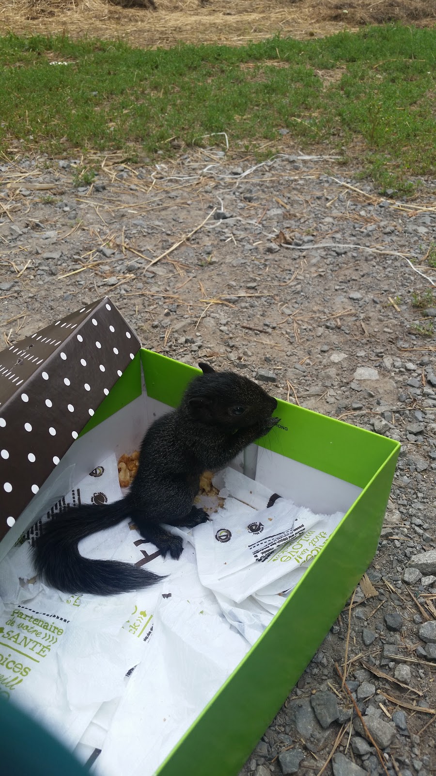 Constance Creek Wildlife Refuge | 2494 Dunrobin Rd, Dunrobin, ON K0A 1T0, Canada | Phone: (613) 222-4719