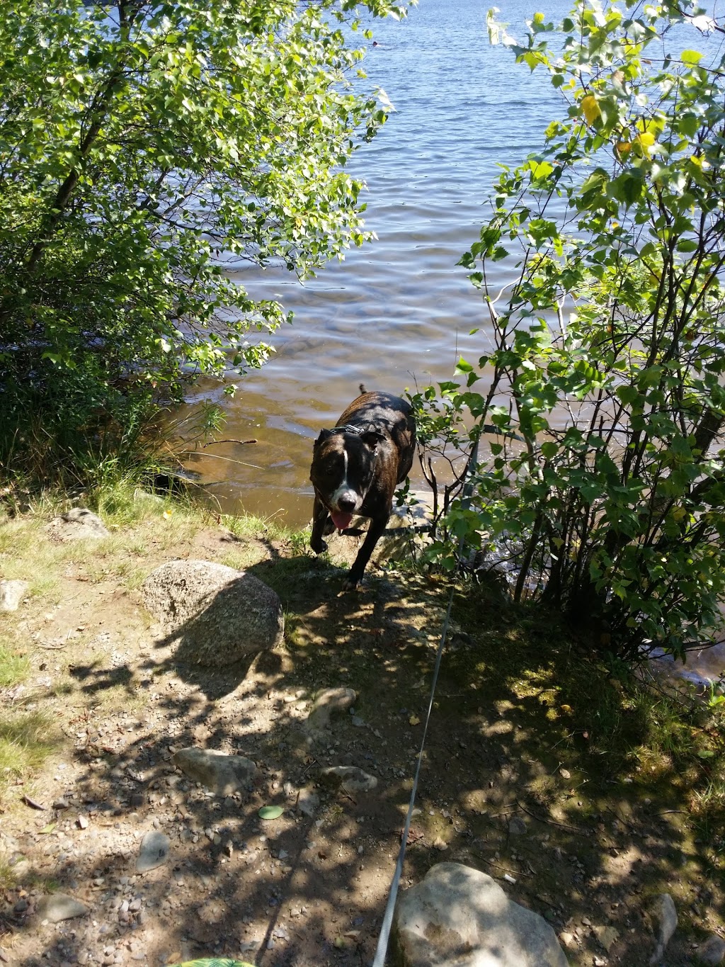 Bell Lake Park | Nantucket, Dartmouth, NS B2W, Canada