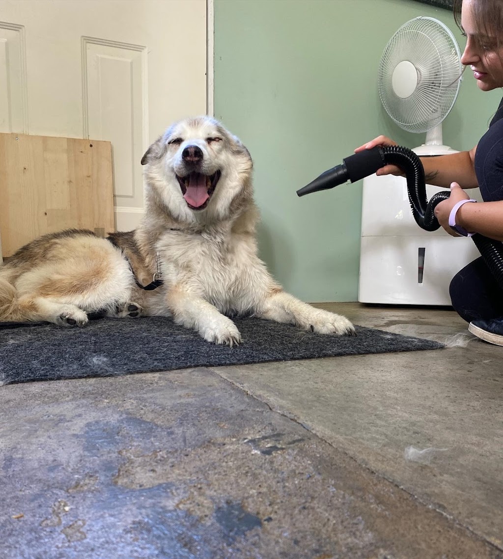Cedar Dog Grooming | 13576 Adshead Rd, Ladysmith, BC V9G 1H6, Canada | Phone: (604) 698-9572
