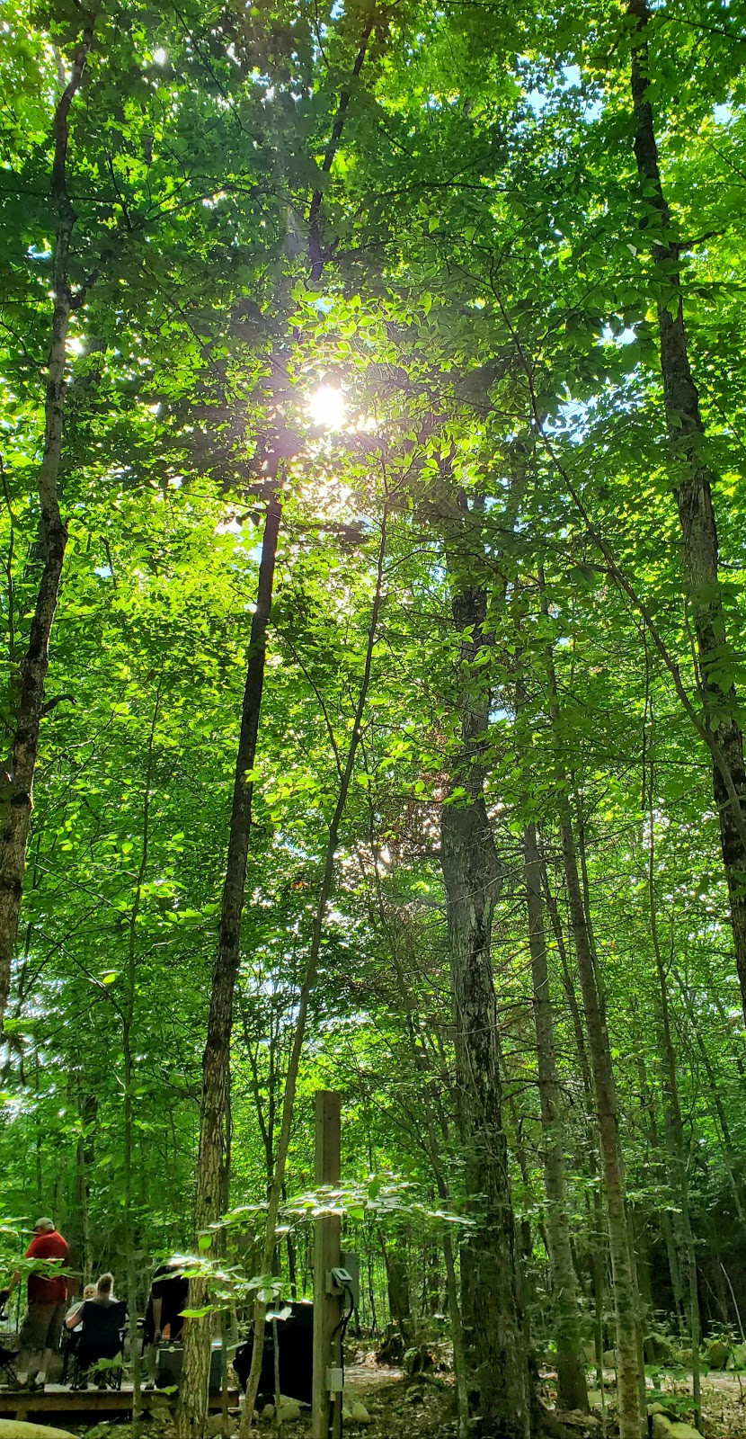 Madawaska Lodge | ON-523, Lake Saint Peter, ON K0L 2K0, Canada | Phone: (613) 637-2725