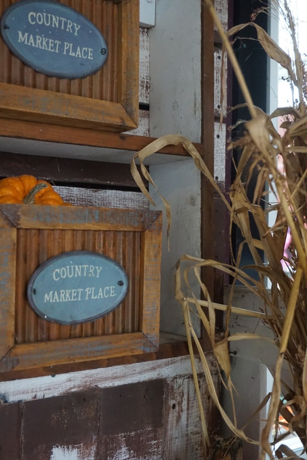 Peteys Pumpkin Patch | 9423 Gibson Rd, Chilliwack, BC V2P 6H4, Canada | Phone: (604) 792-8572