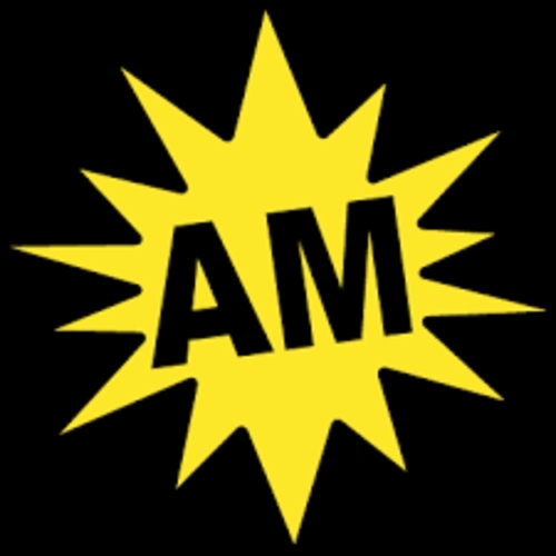 AM Flat Roofing & Sheet Metal | 5794 Wellington County Rd 86, Ariss, ON N0B 1B0, Canada | Phone: (877) 281-6900