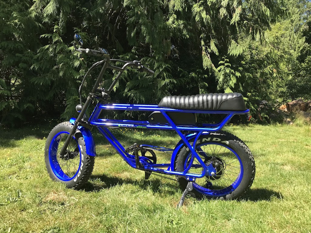 BARK ECHO EBIKES LTD. | 1705 Errington Rd, Errington, BC V0R 1V0, Canada | Phone: (250) 240-5070