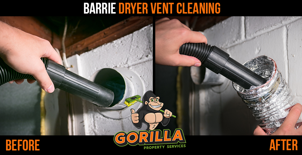 Gorilla Property Services | 65 Cedar Pointe Dr Ste 247, Barrie, ON L4N 9R3, Canada | Phone: (705) 805-0244