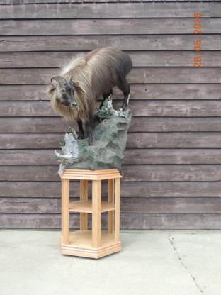 Coyote Flats Taxidermy | 5221 2 St, Coalhurst, AB T0L 0V0, Canada | Phone: (403) 381-3300