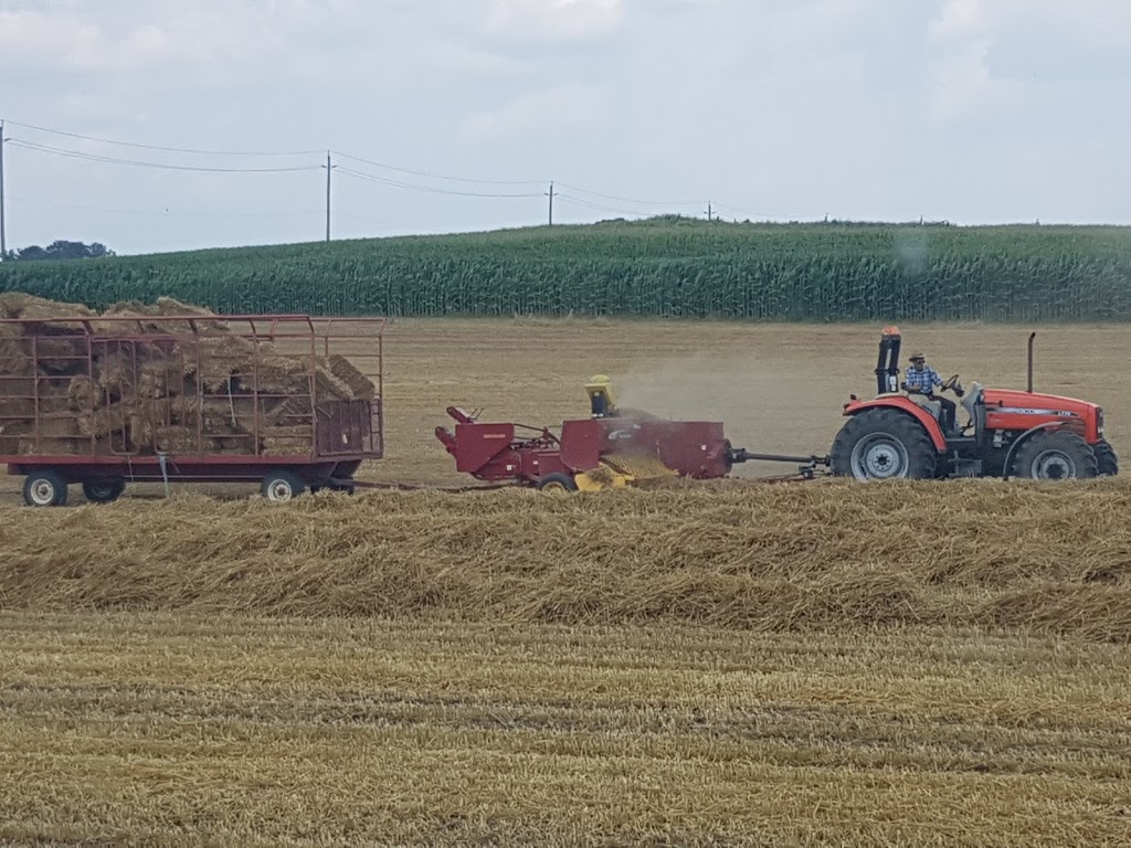 Cedar Valley Farm Supplies | 980 Hawkesville Rd, St. Jacobs, ON N0B 2N0, Canada | Phone: (519) 699-6214
