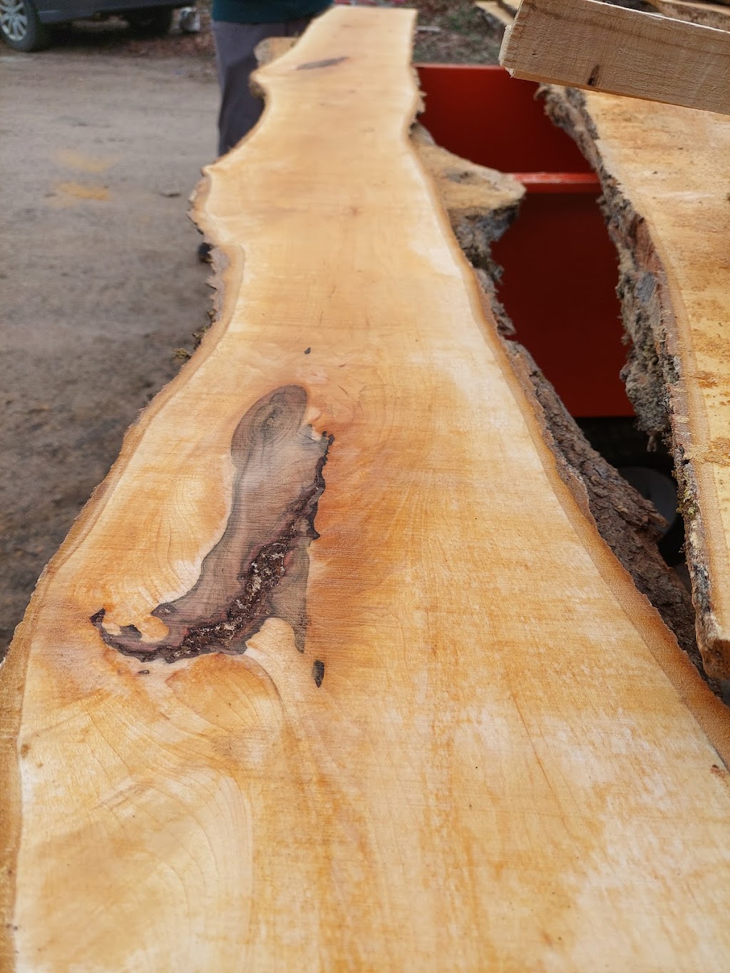 Orr Wood | 351 Tower Rd, Bancroft, ON K0L 1C0, Canada | Phone: (905) 716-0042