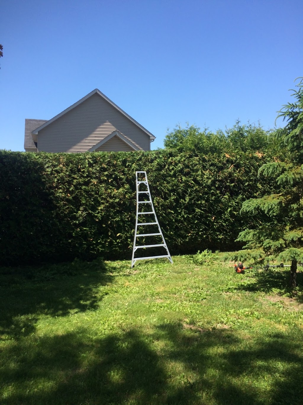 Taille de Haies Kilsdonk | 262 Bd Bourgeois, Napierville, QC J0J 1L0, Canada | Phone: (450) 357-3144