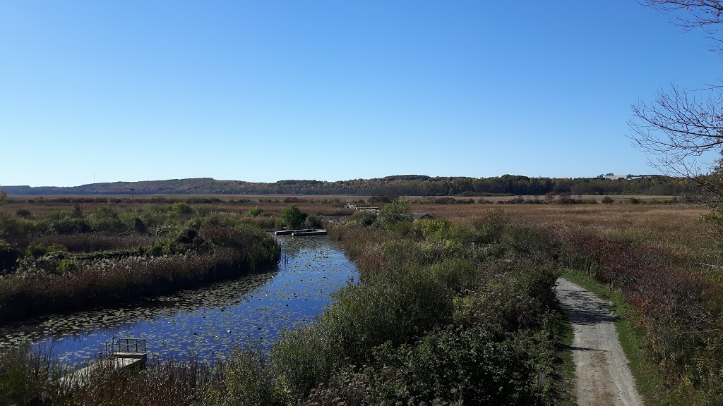 Wye Marsh Wildlife Centre | 16160 Highway 12 East, Midland, ON L4R 4K6, Canada | Phone: (705) 526-7809