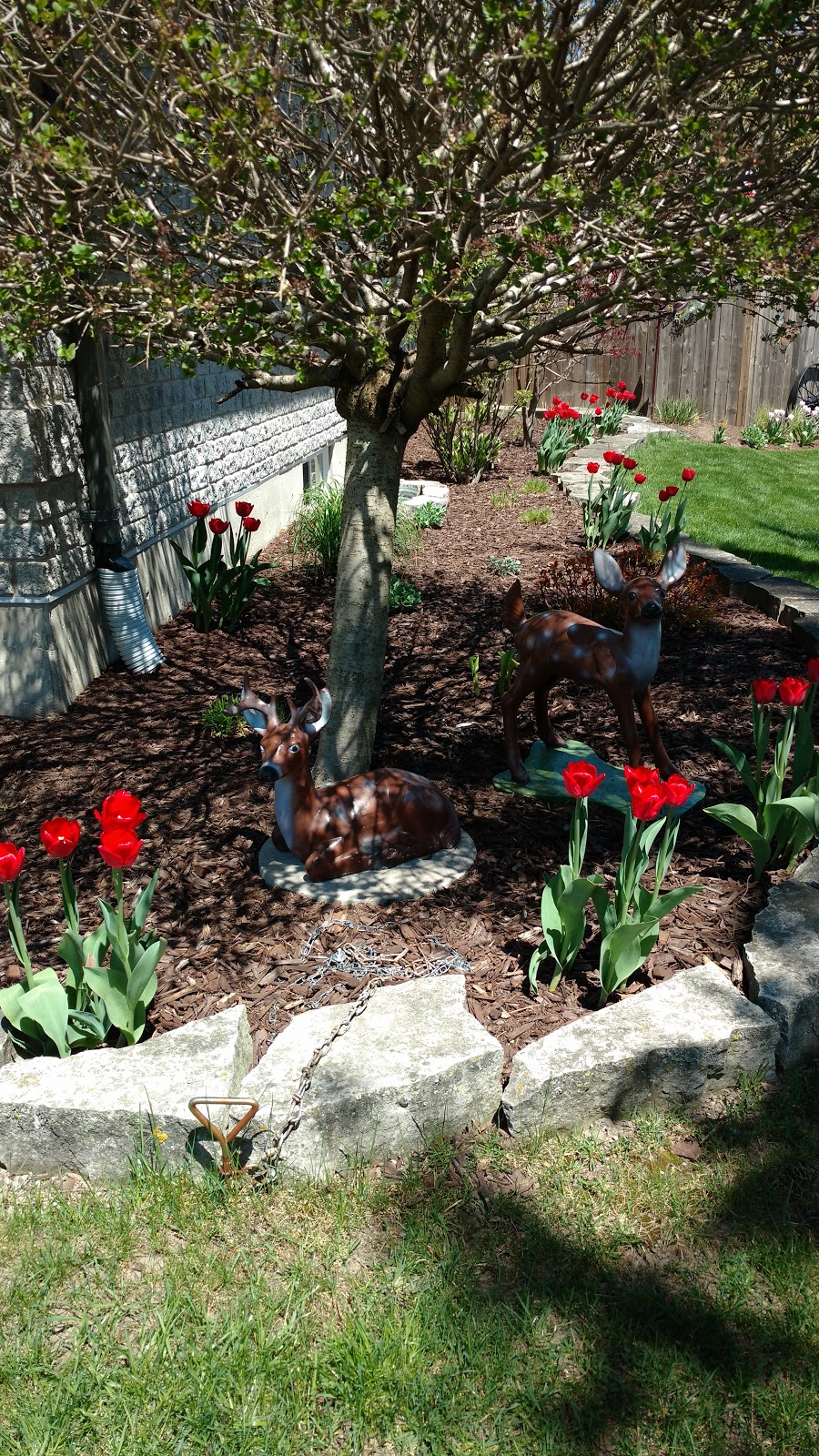 St. Vincent De Paul Roman Catholic Church | 29 Park Ln, Mitchell, ON N0K 1N0, Canada | Phone: (519) 345-2972