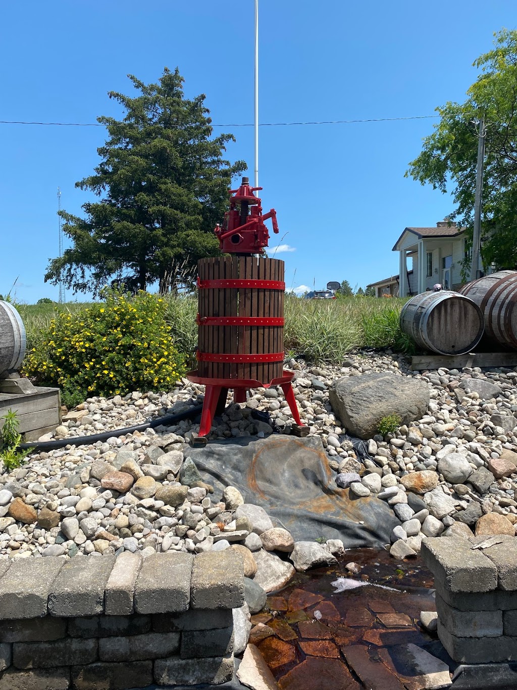 Quai Du Vin Estate Winery LTD | 45811 Fruit Ridge Line, St Thomas, ON N5P 3S9, Canada | Phone: (519) 775-2216