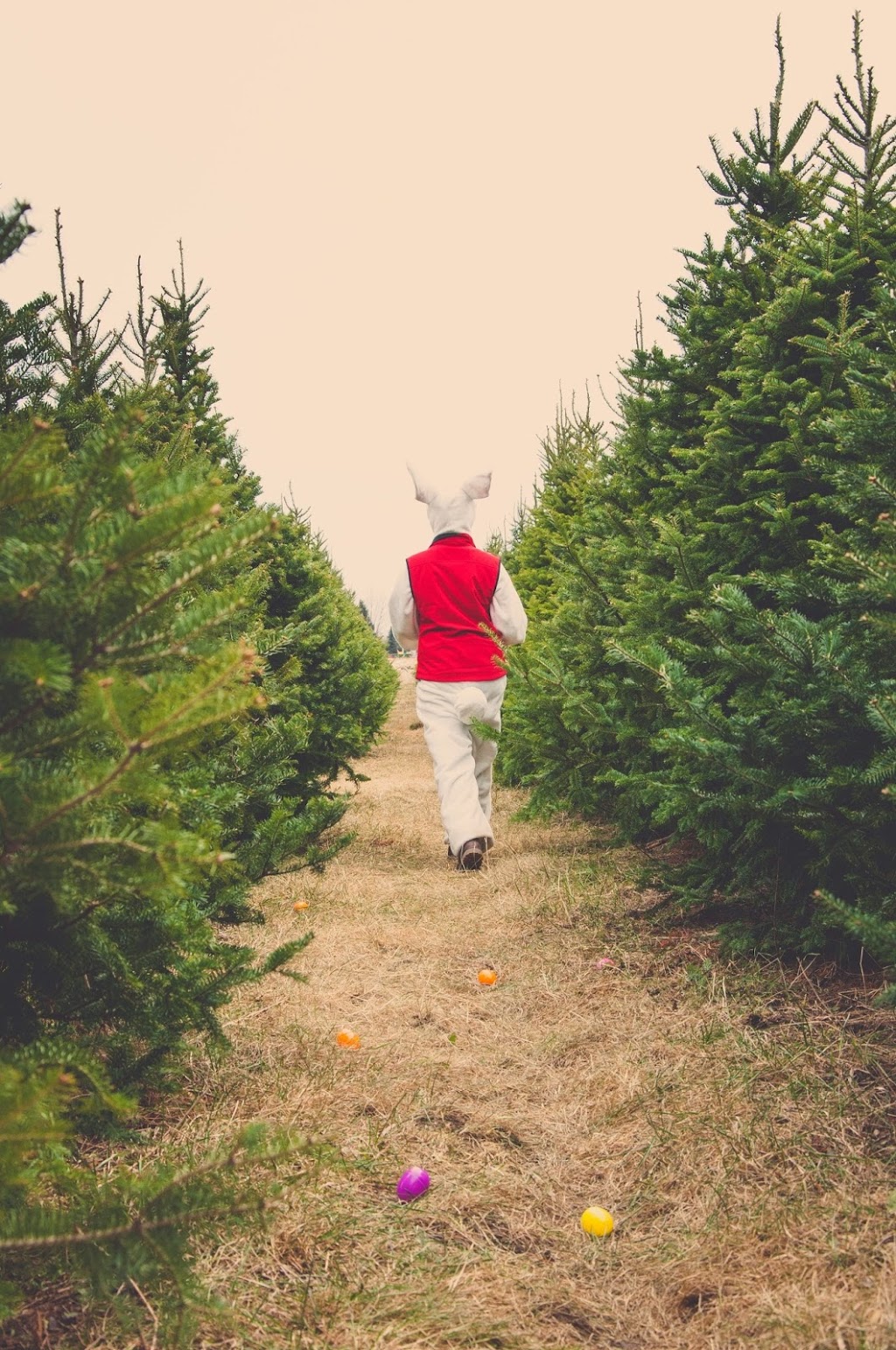 Quinn Farm | 2495 Boulevard Perrot, Notre-Dame-de-lÎle-Perrot, QC J7V 8P4, Canada | Phone: (514) 453-1510