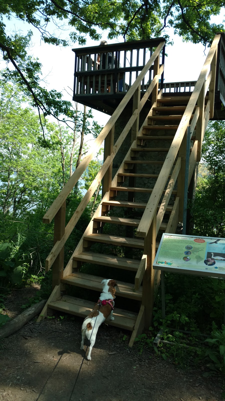 Bulls Point Lookout | Bulls Point Trail, Dundas, ON L9H 5Y6, Canada