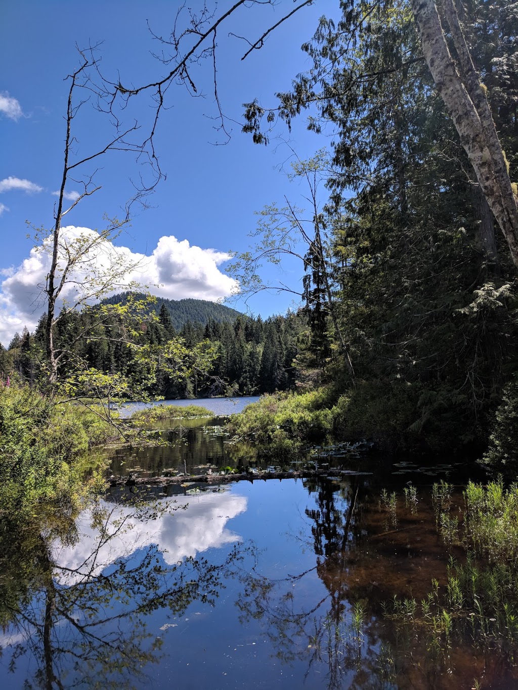 Katherine Lake Park - Sunshine Coast Regional District | 4955 Garden Bay Rd, Madeira Park, BC V0N 2H0, Canada | Phone: (604) 883-9557