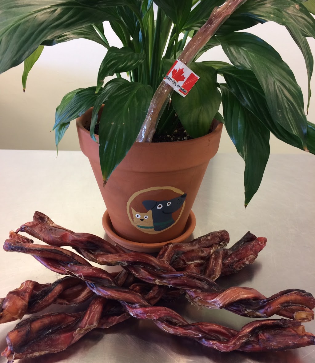 Rascals Pet Market | 7103 W Saanich Rd, Brentwood Bay, BC V8M 1R1, Canada | Phone: (778) 426-4290
