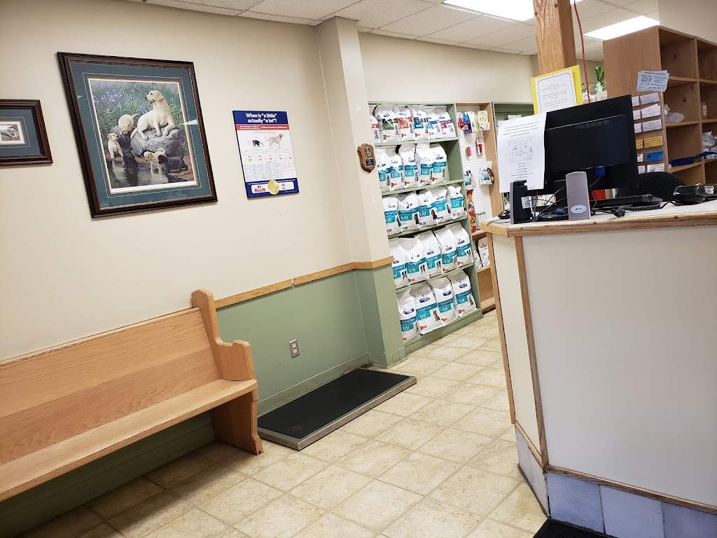 Kingston Veterinary Clinic | 435 Division St, Kingston, ON K7K 4A8, Canada | Phone: (613) 542-7337