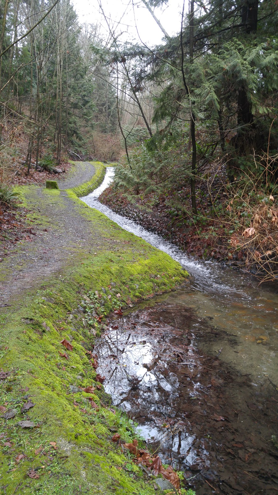 Kaymar Creek Ravine Park | 8050 Kaymar Dr, Burnaby, BC V5J 3N1, Canada