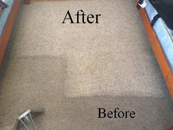 CARPET AND UPHOLSTERY STEAM CLEANING | 3310 Fieldgate Dr Unit 507, Mississauga, ON L4X 2J1, Canada | Phone: (647) 294-1551