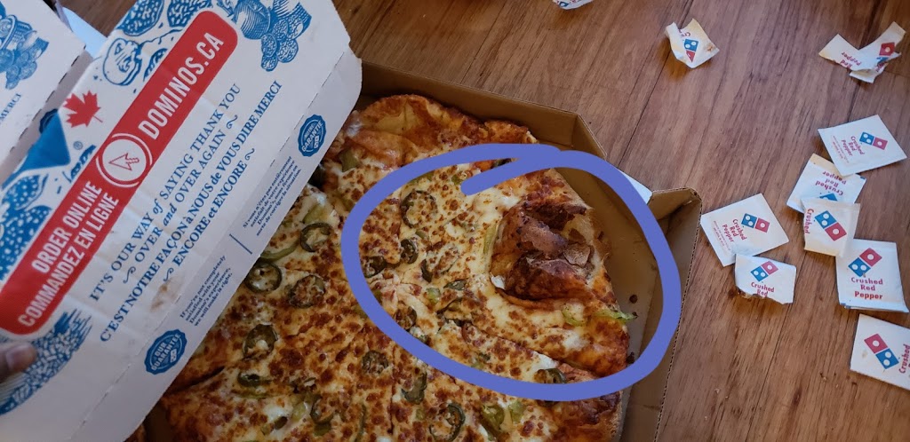 Dominos | 1355 Huron St, London, ON N5V 1R9, Canada | Phone: (519) 963-4040