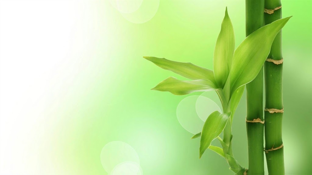 Acupuncture Karine Valin | 43 Avenue 84 E, Blainville, QC J7C 3R4, Canada | Phone: (514) 995-5115