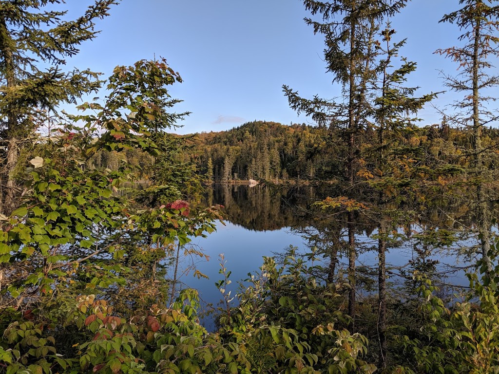 Pourvoirie Auberge La Barrière | 1000 Chemin du Club la Barrière, Sainte-Émélie-de-lÉnergie, QC J0K 2K0, Canada | Phone: (450) 884-5748