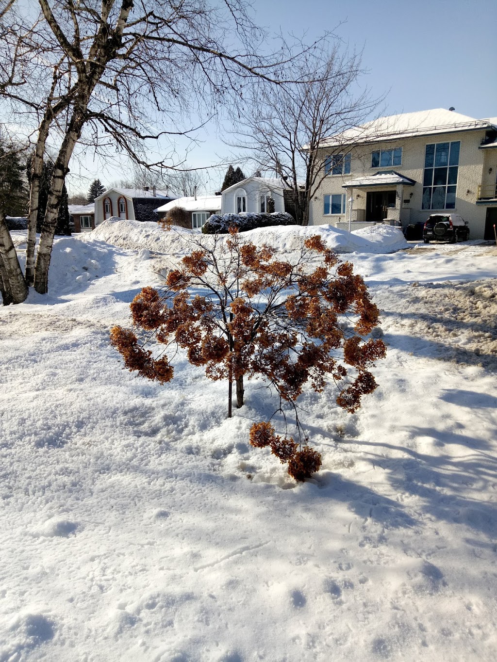 Parc Larochelle | 100 Rue Lavigne, Repentigny, QC J6A 6B5, Canada | Phone: (450) 470-3000